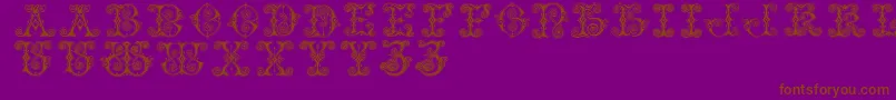 Vaticanianinitials Font – Brown Fonts on Purple Background