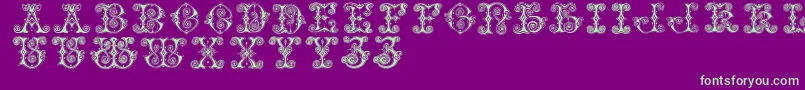 Vaticanianinitials Font – Green Fonts on Purple Background