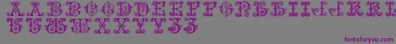 Vaticanianinitials Font – Purple Fonts on Gray Background
