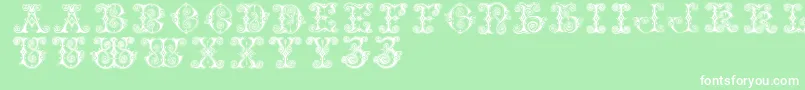 Vaticanianinitials Font – White Fonts on Green Background