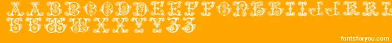 Vaticanianinitials Font – White Fonts on Orange Background