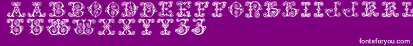 Vaticanianinitials Font – White Fonts on Purple Background