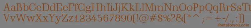 SchadowLightBt Font – Brown Fonts on Gray Background