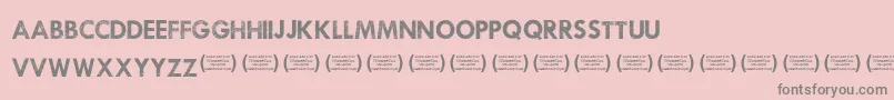 WaukeganhustleRegular Font – Gray Fonts on Pink Background