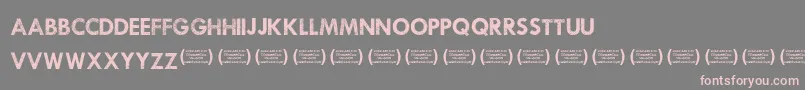 WaukeganhustleRegular Font – Pink Fonts on Gray Background