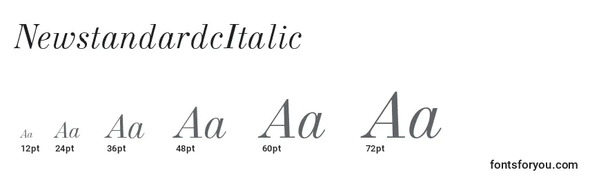 NewstandardcItalic Font Sizes