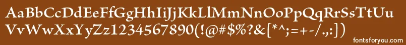 BriosoproSemibold-Schriftart – Weiße Schriften auf braunem Hintergrund