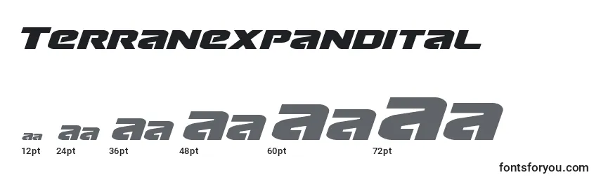 Размеры шрифта Terranexpandital