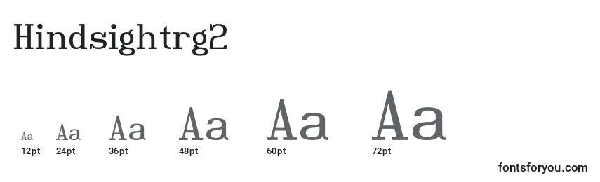 Hindsightrg2 Font Sizes