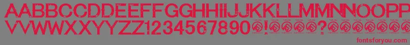 フォントTequilasunsetRegular – 赤い文字の灰色の背景