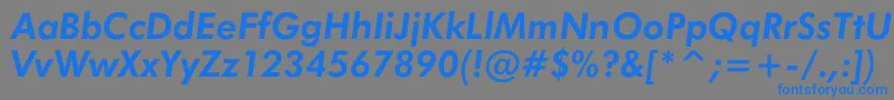 JensenBoldItalic Font – Blue Fonts on Gray Background