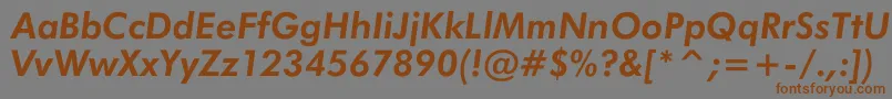 フォントJensenBoldItalic – 茶色の文字が灰色の背景にあります。