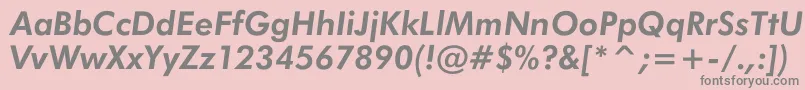 JensenBoldItalic Font – Gray Fonts on Pink Background