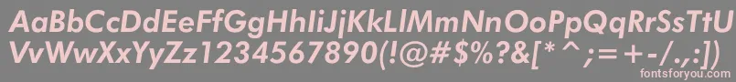 JensenBoldItalic Font – Pink Fonts on Gray Background