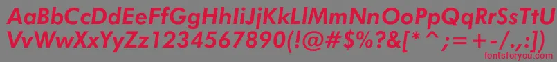 JensenBoldItalic Font – Red Fonts on Gray Background