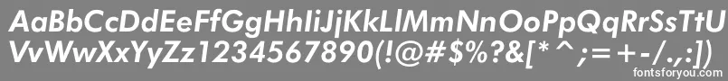 JensenBoldItalic Font – White Fonts on Gray Background