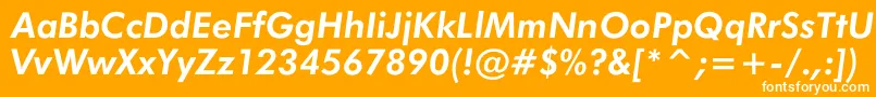 Czcionka JensenBoldItalic – białe czcionki na pomarańczowym tle