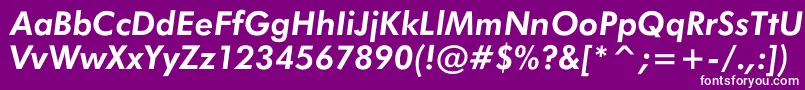 JensenBoldItalic Font – White Fonts on Purple Background