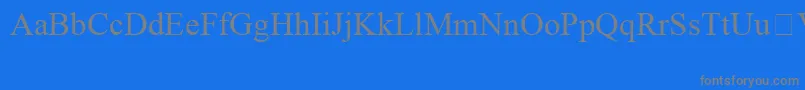 TimesNewRomanSpecialG1 Font – Gray Fonts on Blue Background