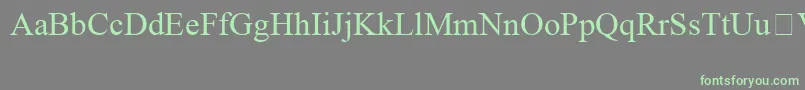 TimesNewRomanSpecialG1 Font – Green Fonts on Gray Background