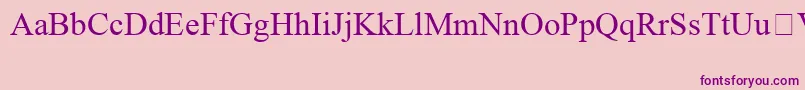 TimesNewRomanSpecialG1 Font – Purple Fonts on Pink Background