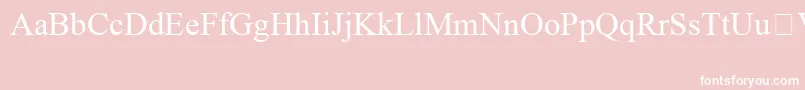 TimesNewRomanSpecialG1 Font – White Fonts on Pink Background