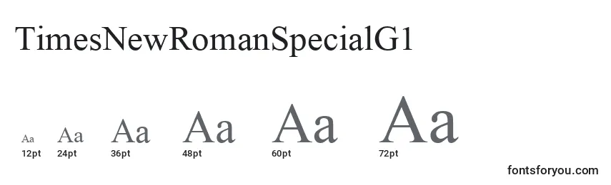 TimesNewRomanSpecialG1 Font Sizes