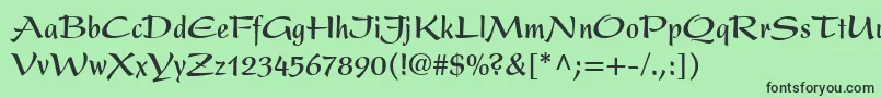 Police PresentLtBoldCondensed – polices noires sur fond vert