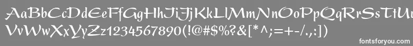フォントPresentLtBoldCondensed – 灰色の背景に白い文字