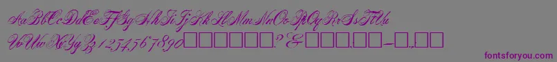 HalifaxRegular Font – Purple Fonts on Gray Background