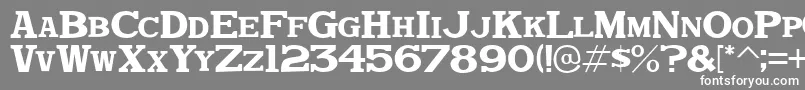 DekkaDenseJl Font – White Fonts on Gray Background