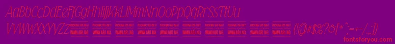 Falkinserifitalicpersonal Font – Red Fonts on Purple Background