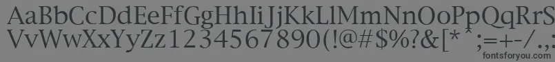フォントNewYorkPlain.001.003 – 黒い文字の灰色の背景