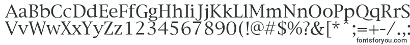 Шрифт NewYorkPlain.001.003 – шрифты Google