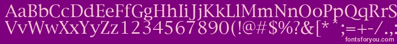 NewYorkPlain.001.003 Font – Pink Fonts on Purple Background