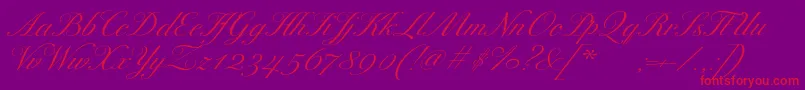 ExcelsorscriptItalic Font – Red Fonts on Purple Background