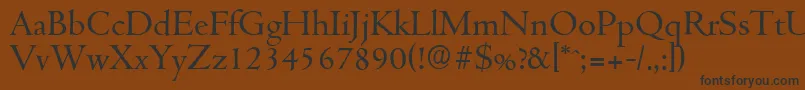 CambridgeserialRegular Font – Black Fonts on Brown Background