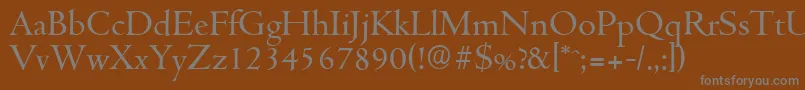 CambridgeserialRegular Font – Gray Fonts on Brown Background