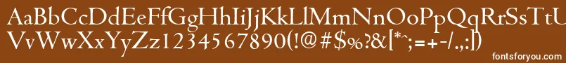 CambridgeserialRegular Font – White Fonts on Brown Background