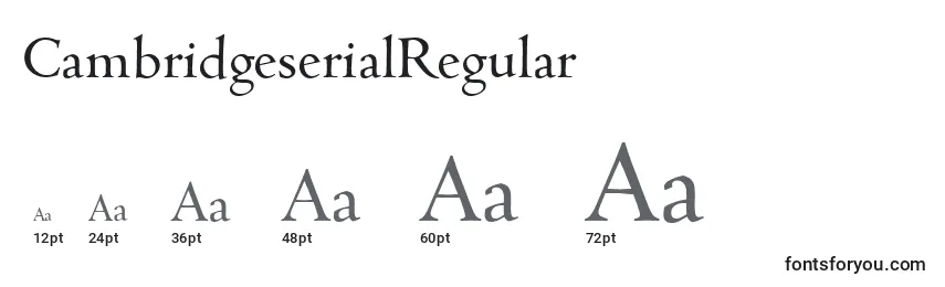 Größen der Schriftart CambridgeserialRegular