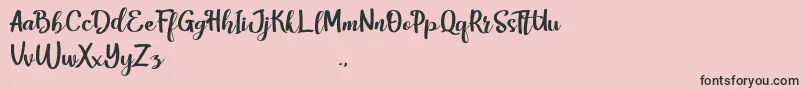 HarleyScriptRegular Font – Black Fonts on Pink Background