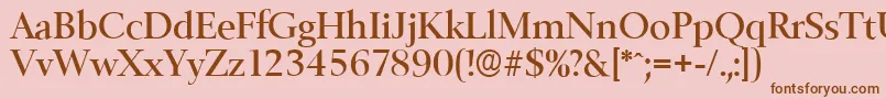 BelfastserialMediumRegular Font – Brown Fonts on Pink Background
