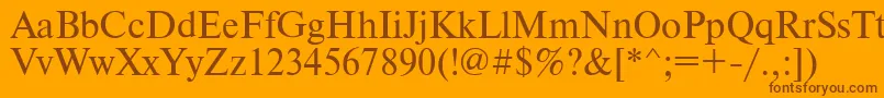 Timesdl Font – Brown Fonts on Orange Background