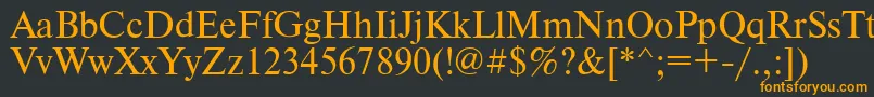 Timesdl Font – Orange Fonts on Black Background