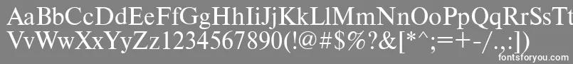 フォントTimesdl – 灰色の背景に白い文字