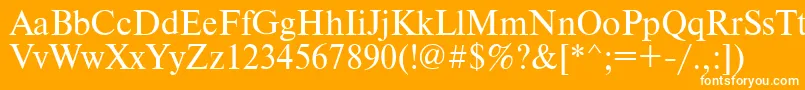 Timesdl Font – White Fonts on Orange Background