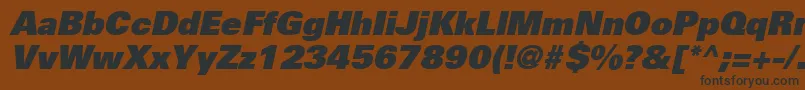 UniversLt85ExtraBlackOblique Font – Black Fonts on Brown Background