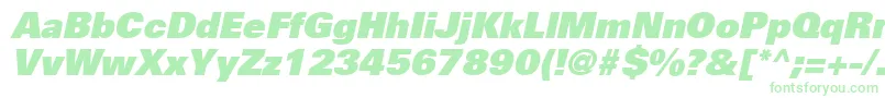 UniversLt85ExtraBlackOblique Font – Green Fonts on White Background