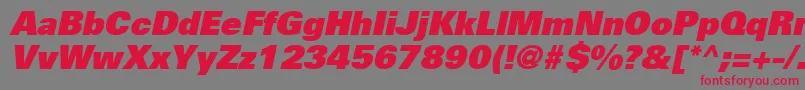 フォントUniversLt85ExtraBlackOblique – 赤い文字の灰色の背景