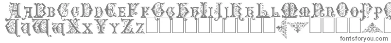 フォントEmporiumcapitals – 白い背景に灰色の文字
